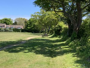 Blakeney Pastures