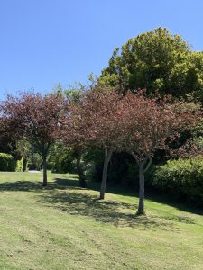 New Road By Saxlingham Road