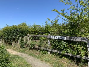 Sheila’s Way, Blakeney