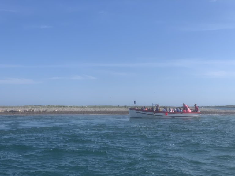 Seal trips to Blakeney Point