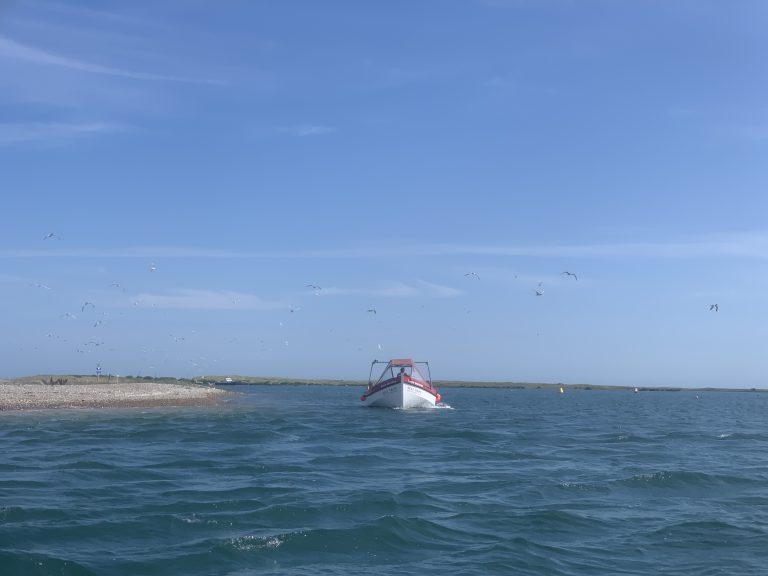 Seal trips to Blakeney Point